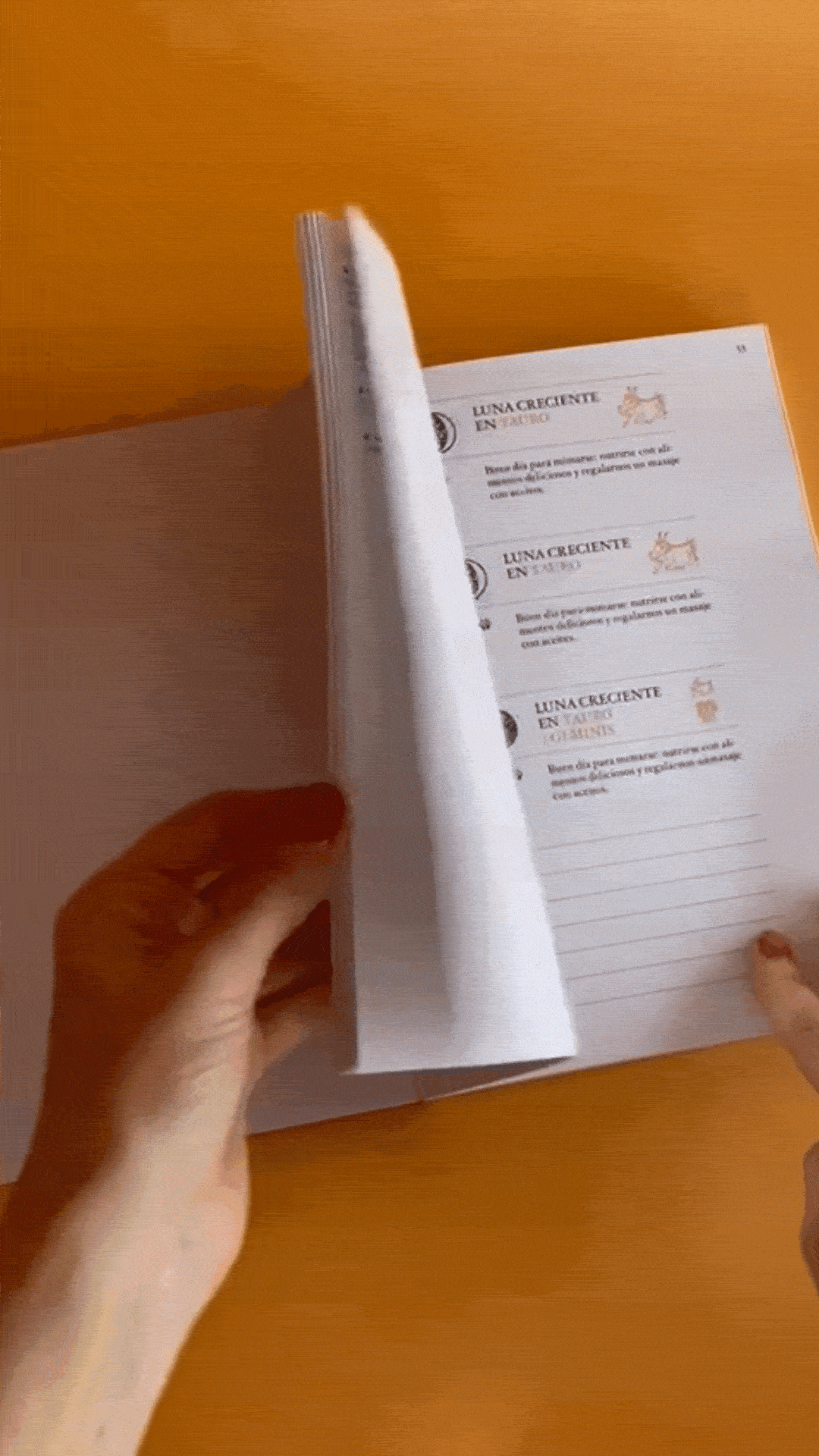 Calendario de tocador 2023